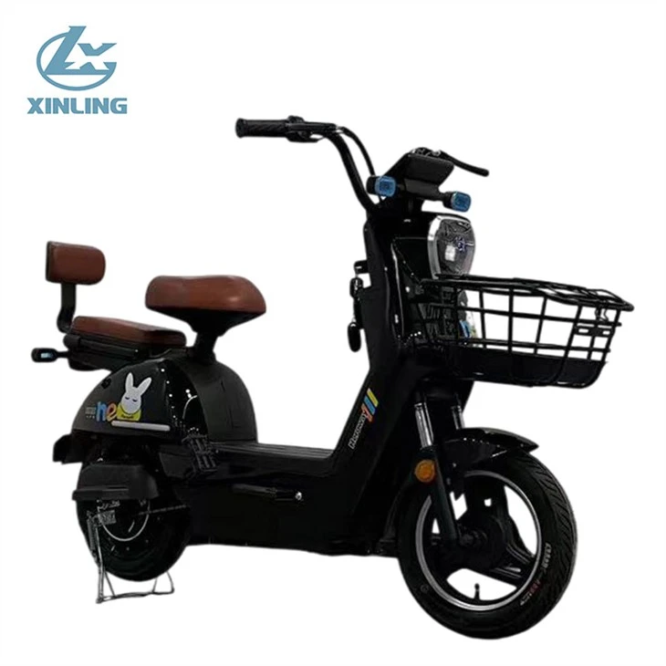 Electric Scooter Bike